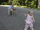 pulling dog leash tightly